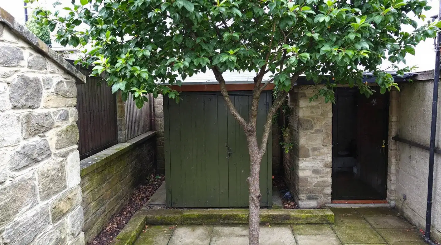 Small tree beside a shed in a compact stone garden, typical of Morley, Leeds LS27