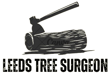 leeds tree surgeon