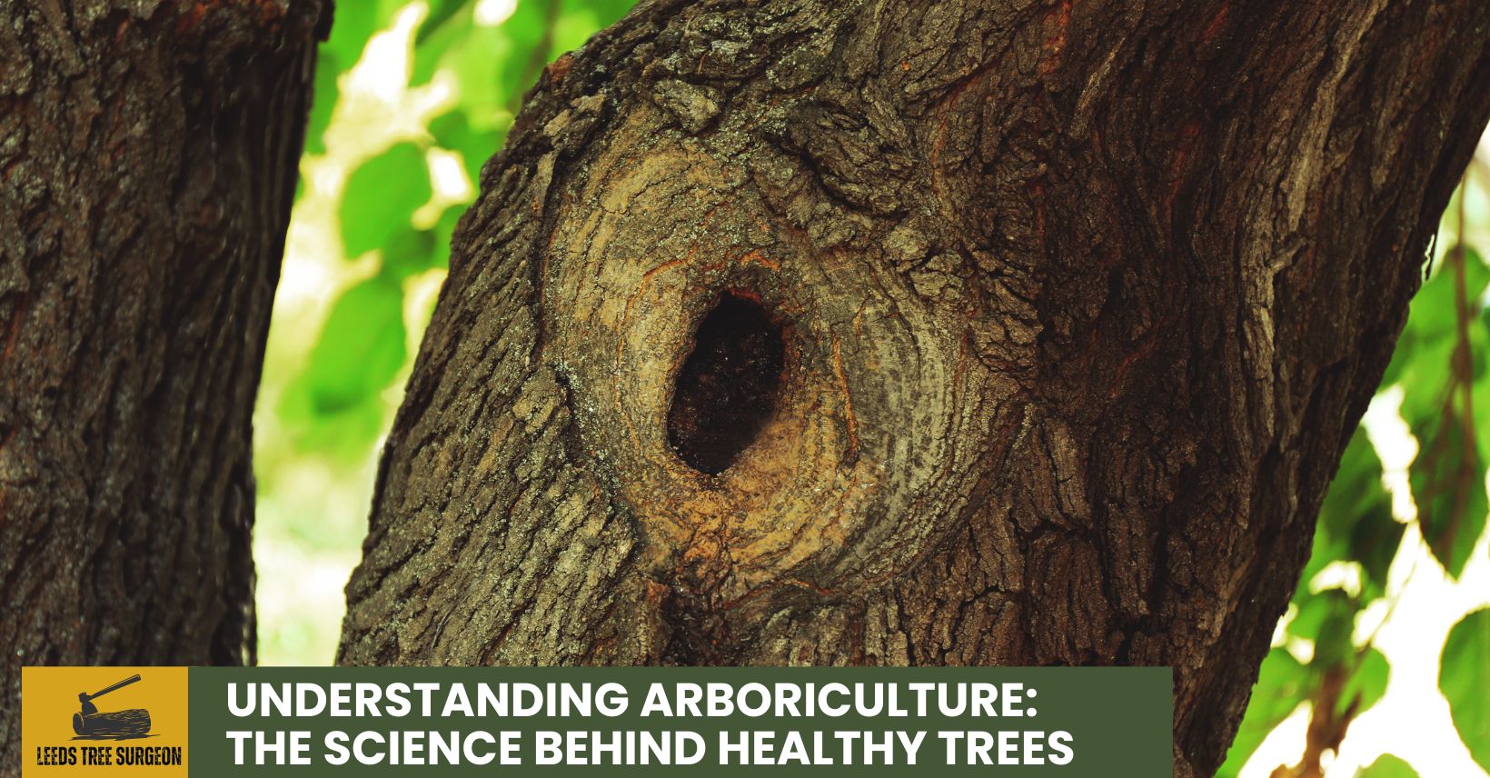 arboriculture