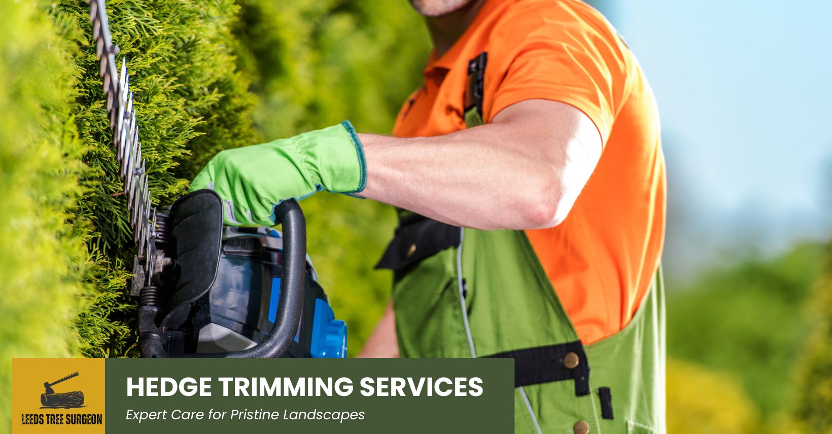 hedge trimming