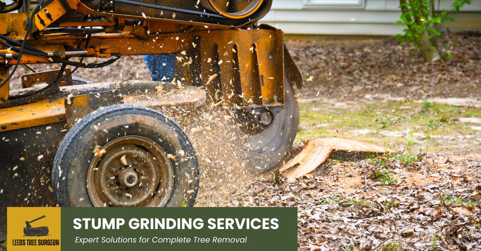 stump grinding