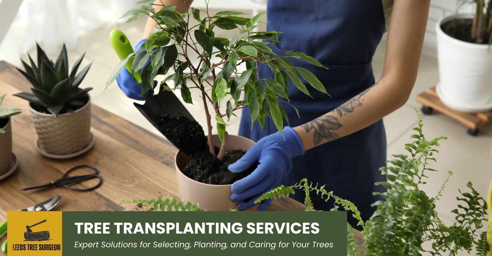 transplanting