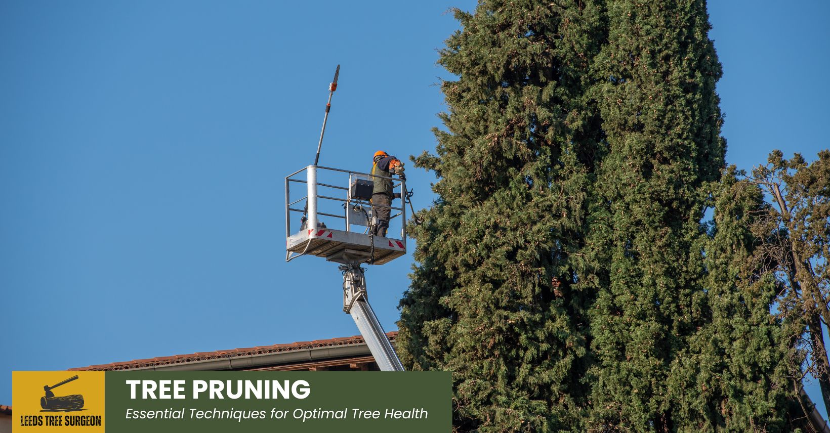 tree pruning