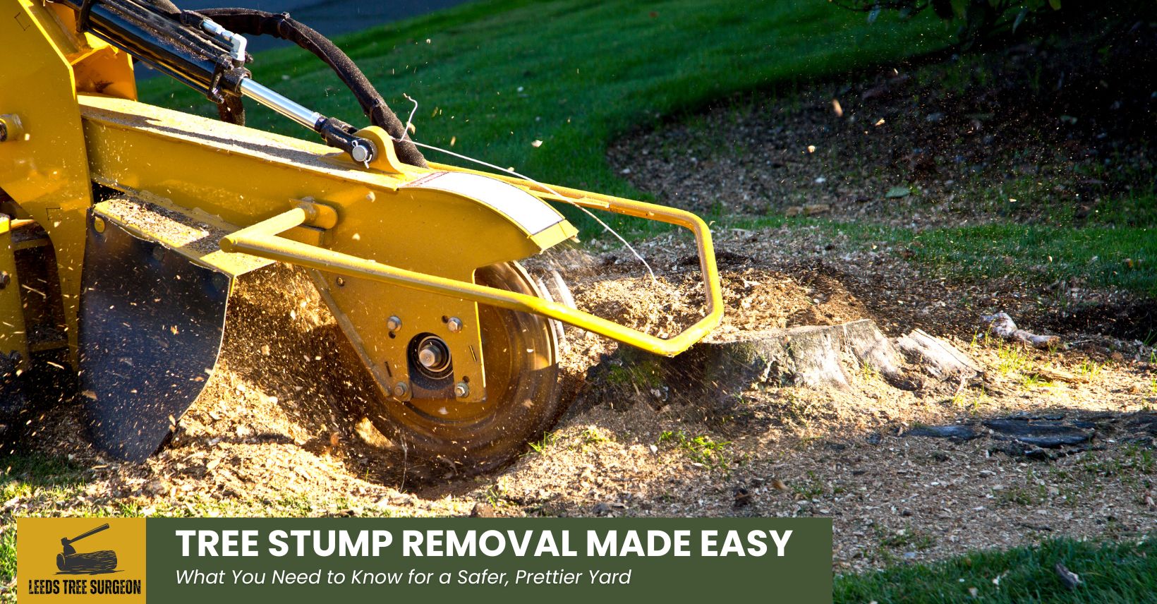 tree stump removal