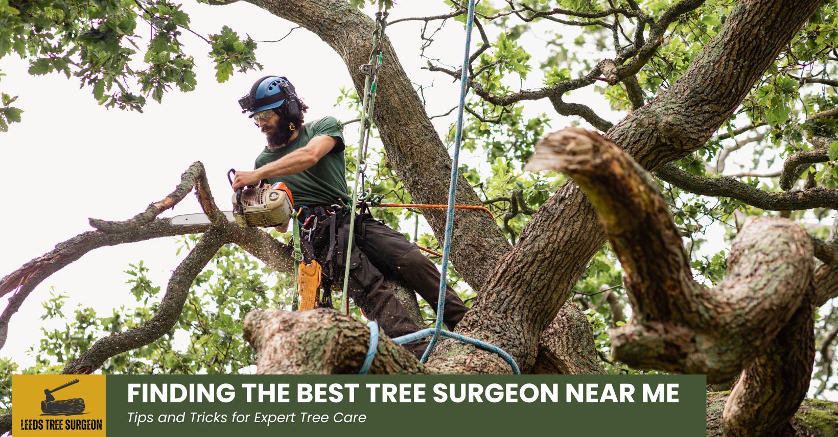 tree surgeon near me